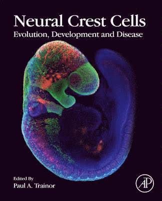 Neural Crest Cells 1