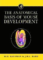 bokomslag The Anatomical Basis of Mouse Development
