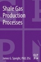 bokomslag Shale Gas Production Processes