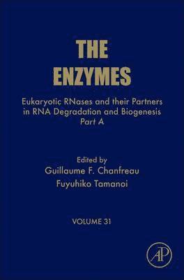 bokomslag Eukaryotic RNases and their Partners in RNA Degradation and Biogenesis