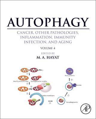 bokomslag Autophagy: Cancer, Other Pathologies, Inflammation, Immunity, Infection, and Aging