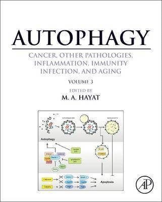 bokomslag Autophagy: Cancer, Other Pathologies, Inflammation, Immunity, Infection, and Aging