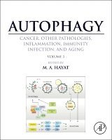 Autophagy: Cancer, Other Pathologies, Inflammation, Immunity, Infection, and Aging