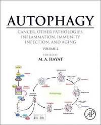 bokomslag Autophagy: Cancer, Other Pathologies, Inflammation, Immunity, Infection, and Aging