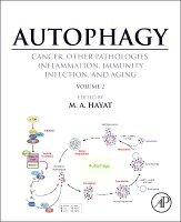 Autophagy: Cancer, Other Pathologies, Inflammation, Immunity, Infection, and Aging 1