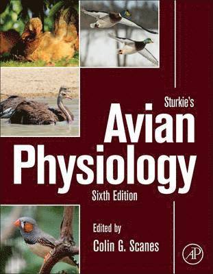 Colin G. Scanes - Sturkie's Avian Physiology, Inbunden