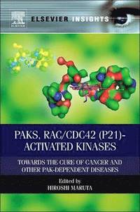 bokomslag PAKs, RAC/CDC42 (p21)-activated Kinases