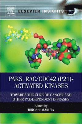 bokomslag PAKs, RAC/CDC42 (p21)-activated Kinases