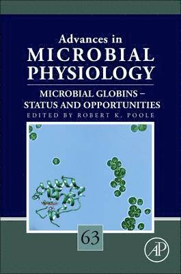 bokomslag Microbial Globins - Status and Opportunities