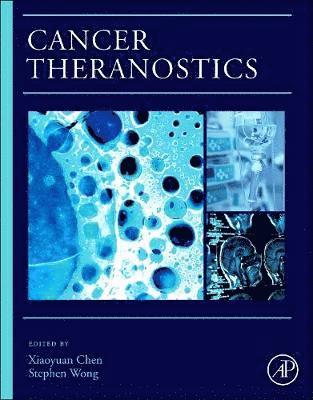 bokomslag Cancer Theranostics