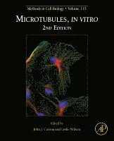 Microtubules, in vitro 1