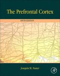 bokomslag The Prefrontal Cortex