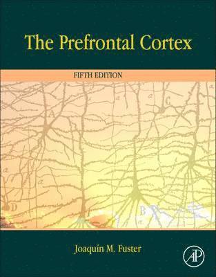 The Prefrontal Cortex 1