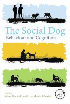 The Social Dog 1