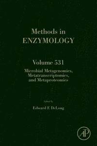 bokomslag Microbial Metagenomics, Metatranscriptomics, and Metaproteomics