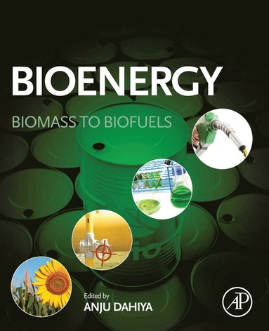 bokomslag Bioenergy