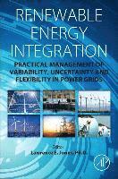 Lawrence E. Jones, Lawrence E Jones - Renewable Energy Integration, Inbunden
