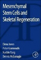 bokomslag Mesenchymal Stem Cells and Skeletal Regeneration