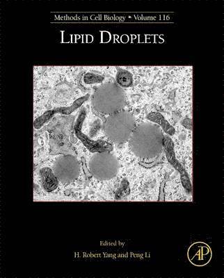 bokomslag Lipid Droplets