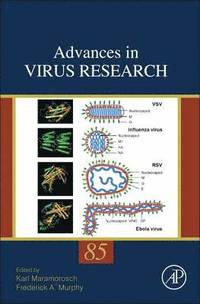 bokomslag Advances in Virus Research