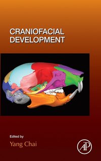 bokomslag Craniofacial Development