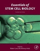 bokomslag Essentials of Stem Cell Biology