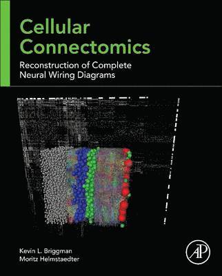 Cellular Connectomics 1