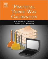 bokomslag Practical Three-Way Calibration