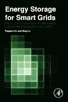 Energy Storage for Smart Grids