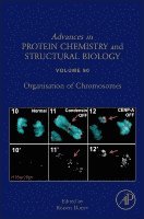 Rossen Donev - Organisation of Chromosomes, Inbunden