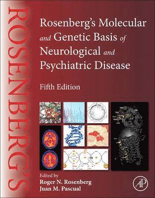 Roger N. Rosenberg, Juan M. Pascual - Rosenberg's Molecular and Genetic Basis of Neurological and Psychiatric Disease, Inbunden