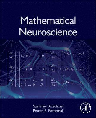 bokomslag Mathematical Neuroscience