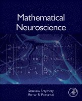 Stanislaw Brzychczy, Roman R. Poznanski, Roman R Poznanski - Mathematical Neuroscience, Inbunden