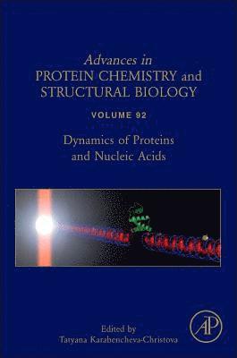 bokomslag Dynamics of Proteins and Nucleic Acids