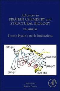 bokomslag Protein-Nucleic Acids Interactions
