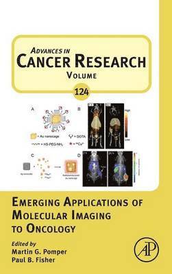 bokomslag Emerging Applications of Molecular Imaging to Oncology