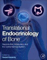 bokomslag Translational Endocrinology of Bone