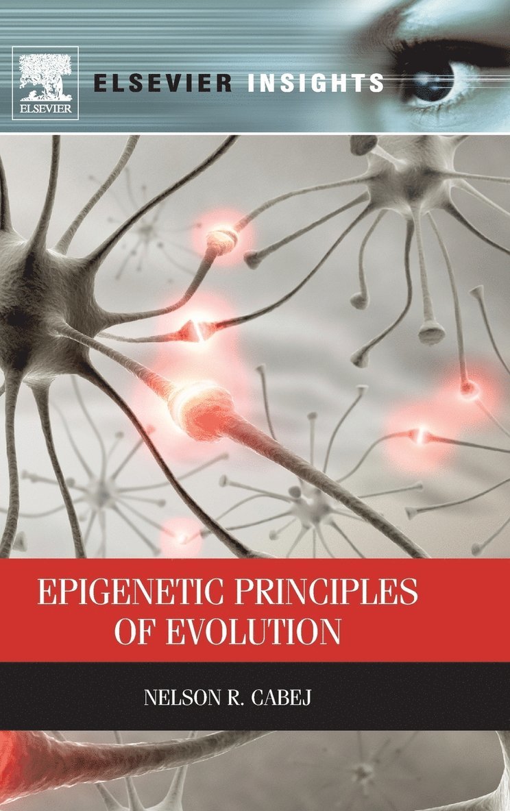 Epigenetic Principles of Evolution
