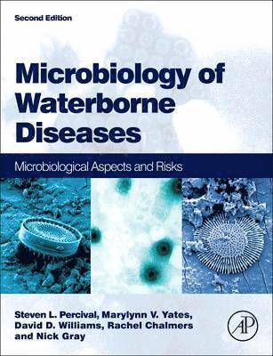 bokomslag Microbiology of Waterborne Diseases