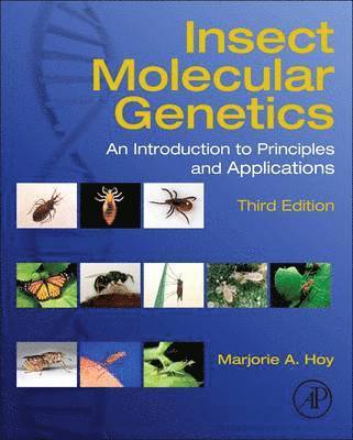 Insect Molecular Genetics 1