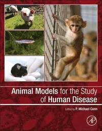 bokomslag Animal Models for the Study of Human Disease