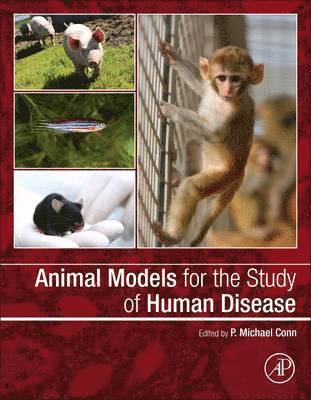 P. Michael Conn - Animal Models for the Study of Human Disease, Inbunden
