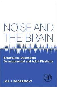bokomslag Noise and the Brain