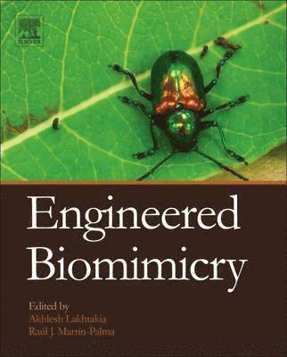 Engineered Biomimicry 1