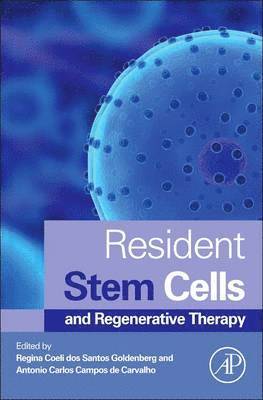 bokomslag Resident Stem Cells and Regenerative Therapy