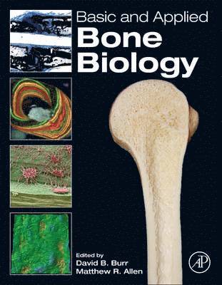 bokomslag Basic and Applied Bone Biology