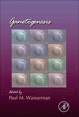 Gametogenesis 1