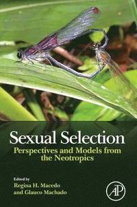 bokomslag Sexual Selection