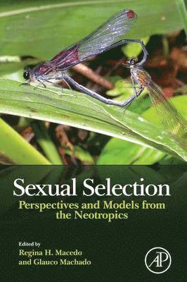 bokomslag Sexual Selection