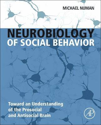 Neurobiology of Social Behavior 1